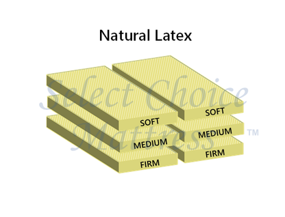 SCM Organic Mattress (Natural Latex)